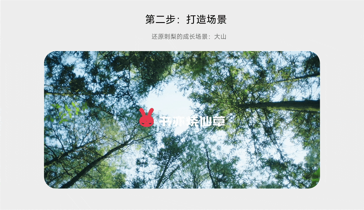 『书亦烧仙草 | 植物基新茶饮』✖ 新罐头创意全案分享