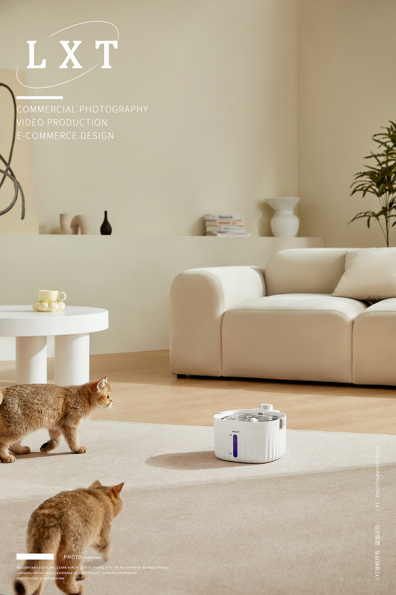 觅凹猫咪饮水机拍摄