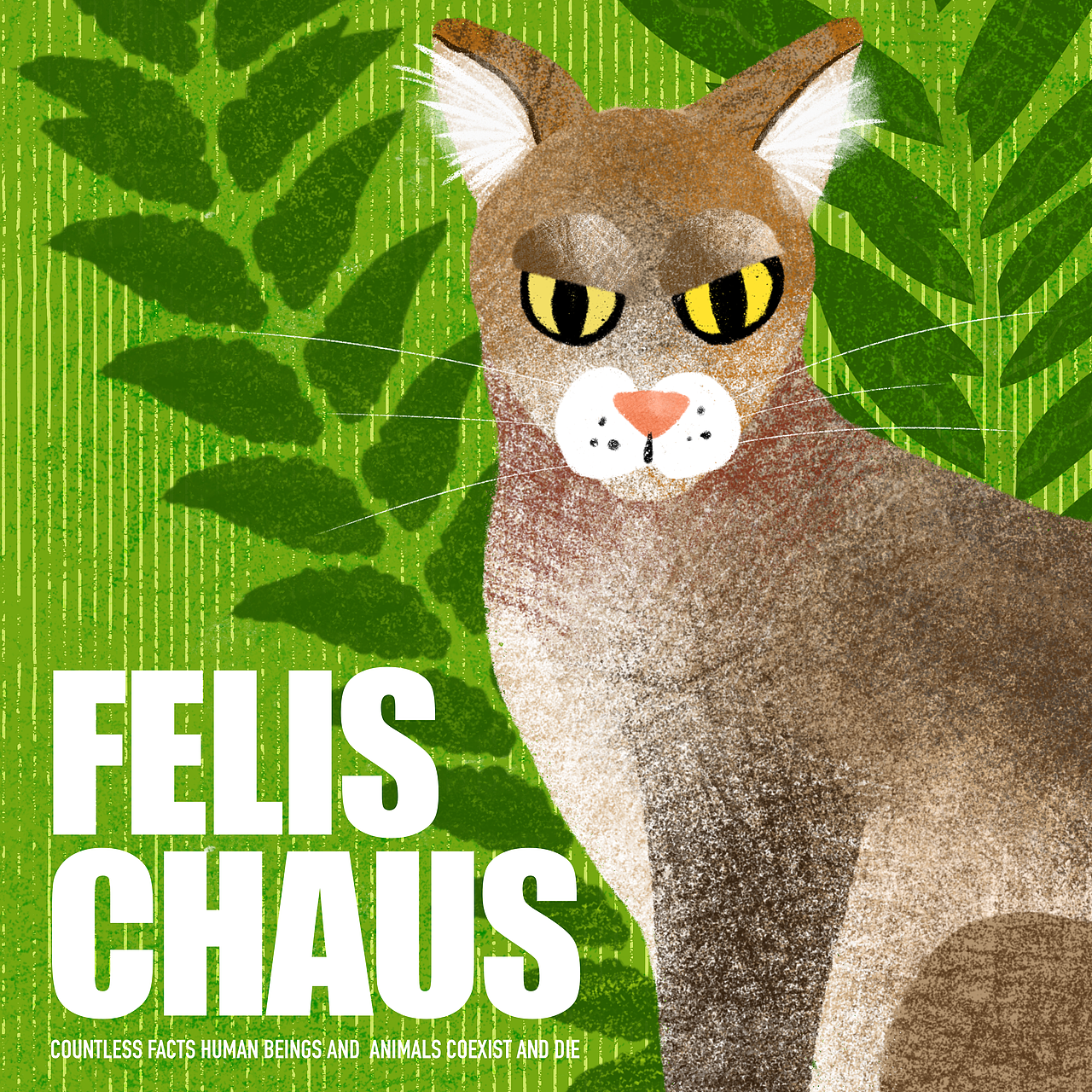 珍稀动物 | 你瞅瞅~这美好的花花世界