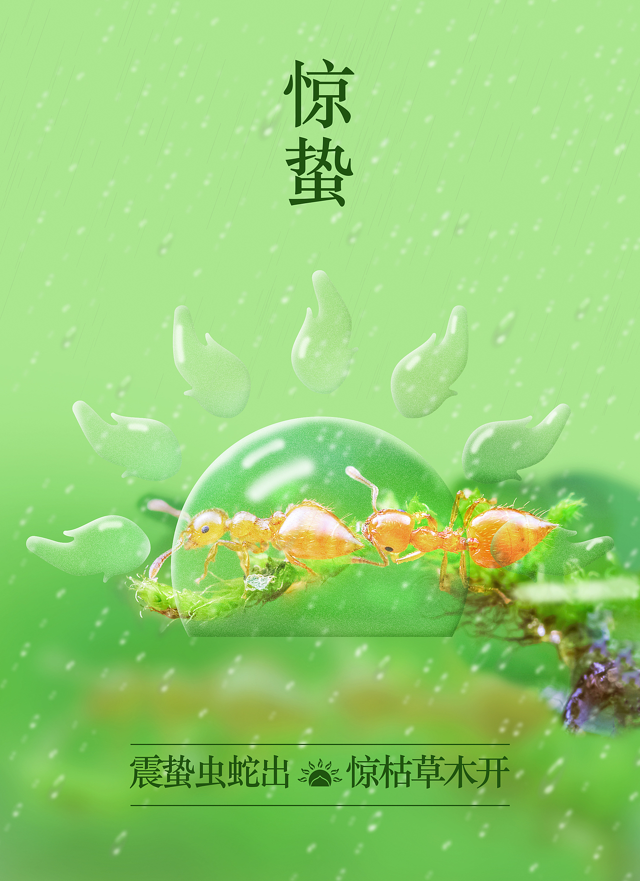 友光的节气图（图ZMzA4NDM1MjY0） - 海报 - 站酷设计师做合成的小西瓜原创素材 - 站酷ZCOOL