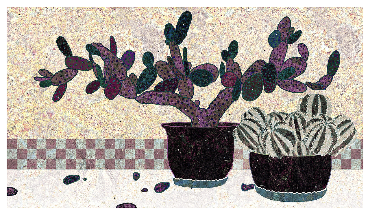 仙人掌（圖ZMzA1NzcyNDMy） - 藝術(shù)插畫 - 站酷設(shè)計師山上一只牛haha原創(chuàng)素材 - 站酷ZCOOL