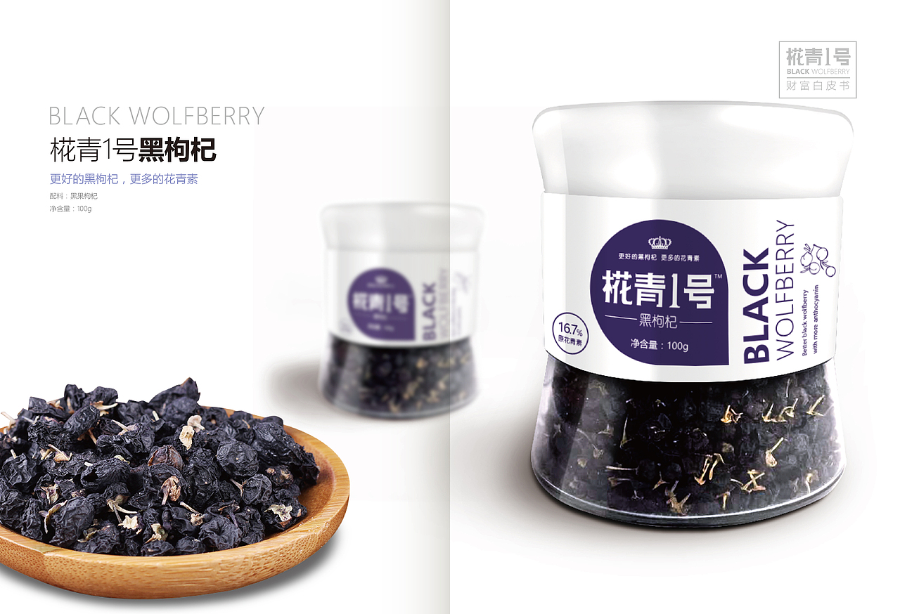 黑枸杞画册 | 企业宣传册 | 产品包装设计 | 极简风