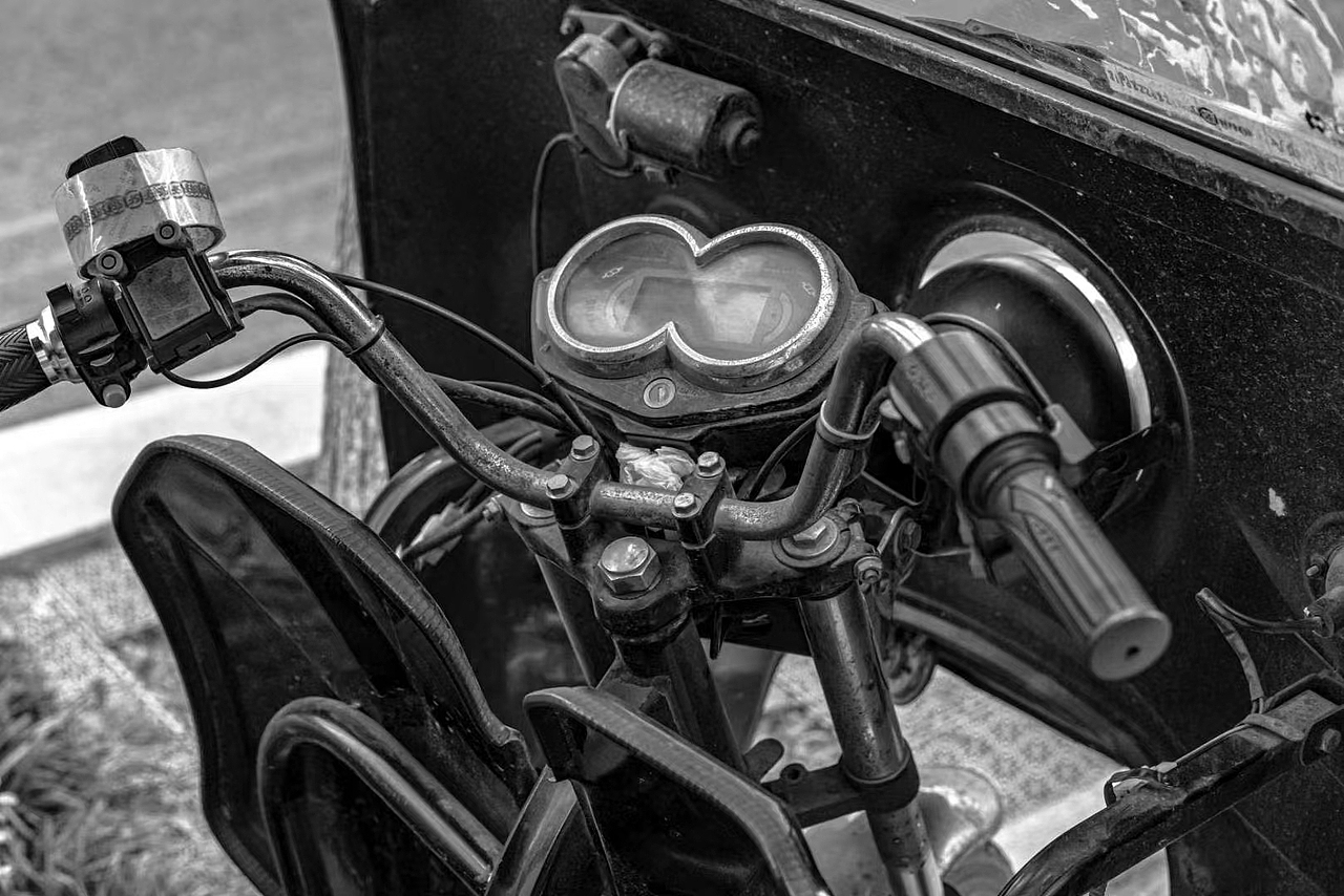 闲中热闹图一乐，遍看风情心自怡。