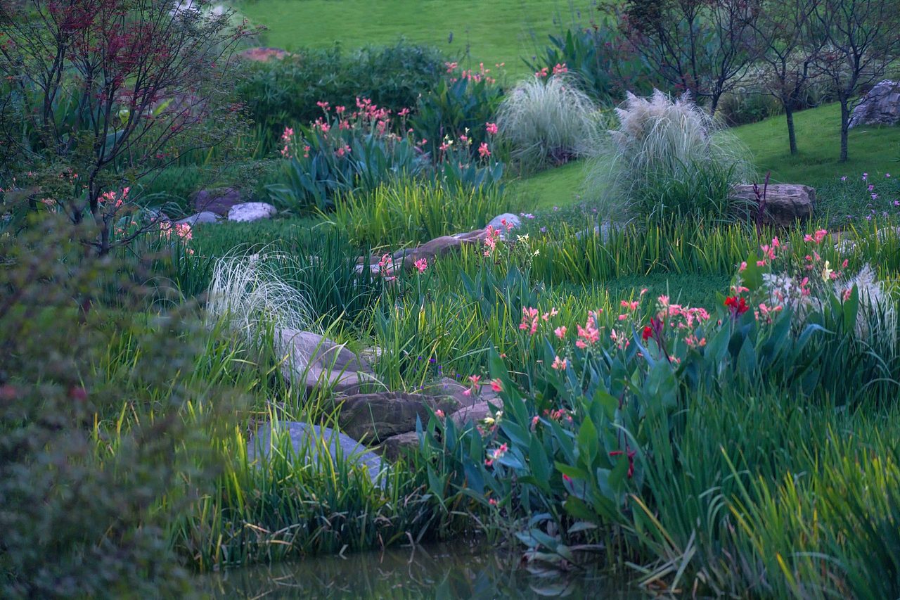 【案例分享】峨眉·高桥小镇