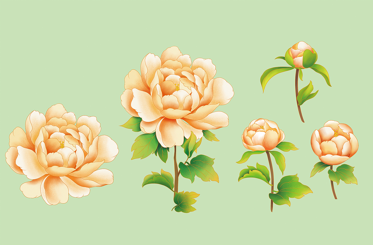 通用礼盒包装设计