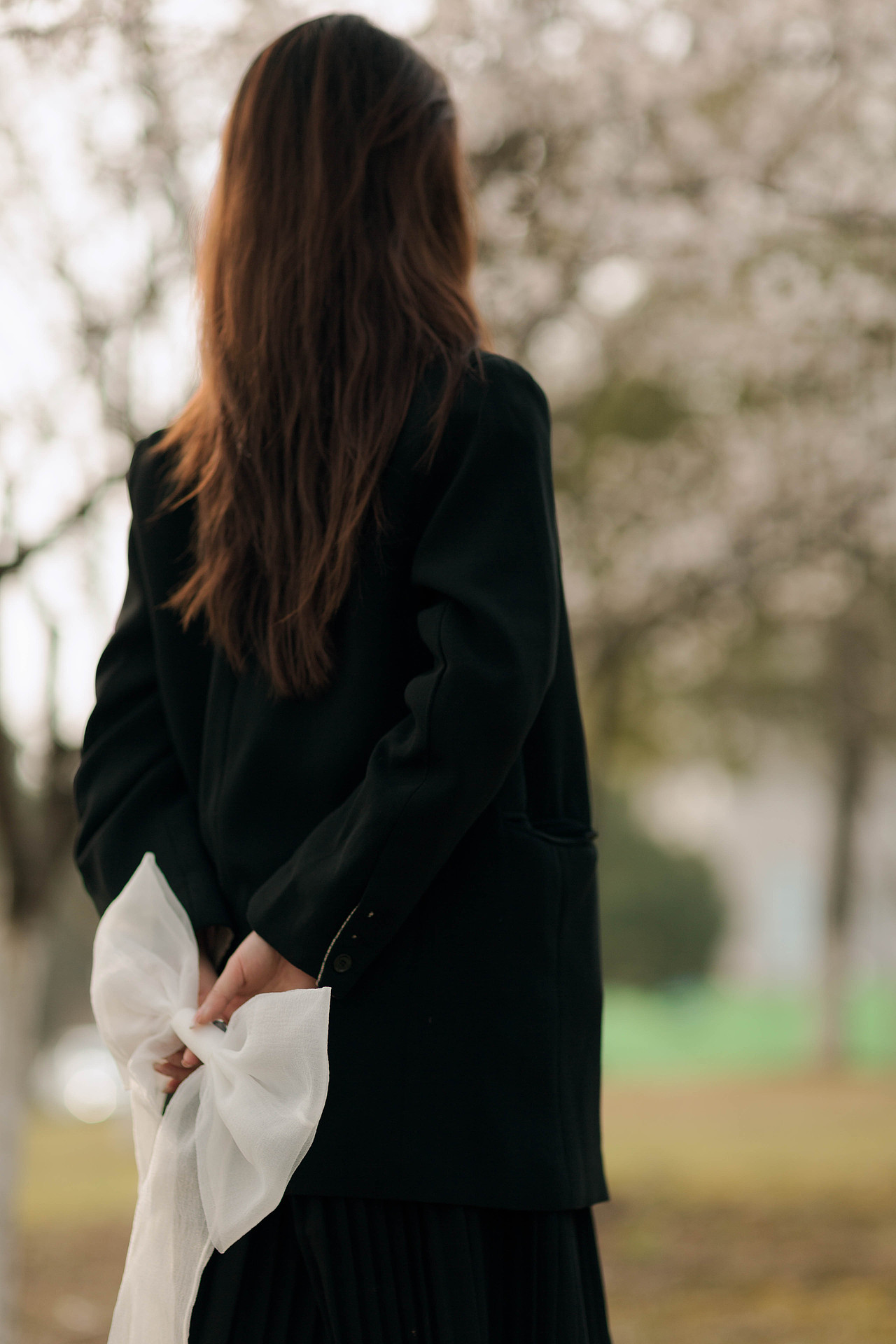 在樱花盛开的季节