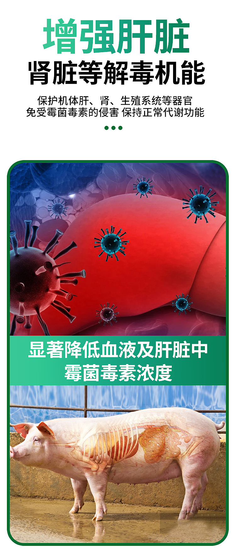 详情页 电商设计 畜禽水产养殖 饲料添加剂