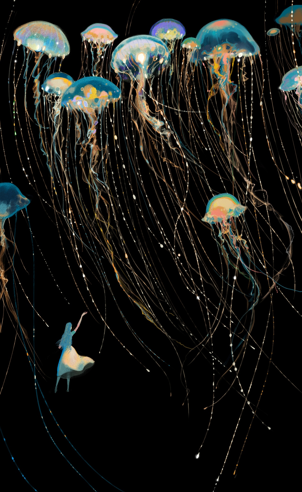 云朵水母4.瀑布水母3.珠帘水母2.蝴蝶水母1.