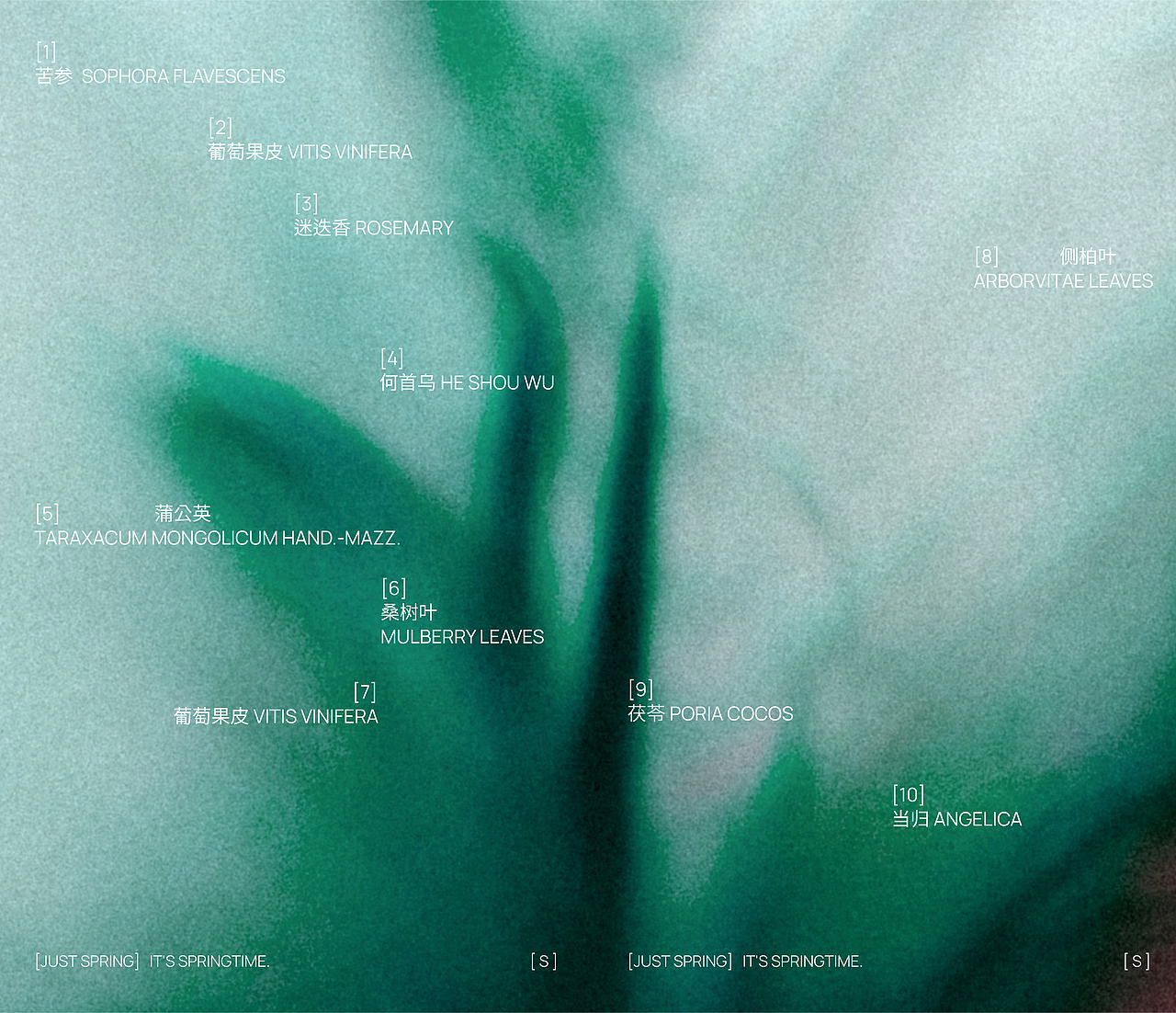 春在Just Spring :化妆品品牌与包装设计