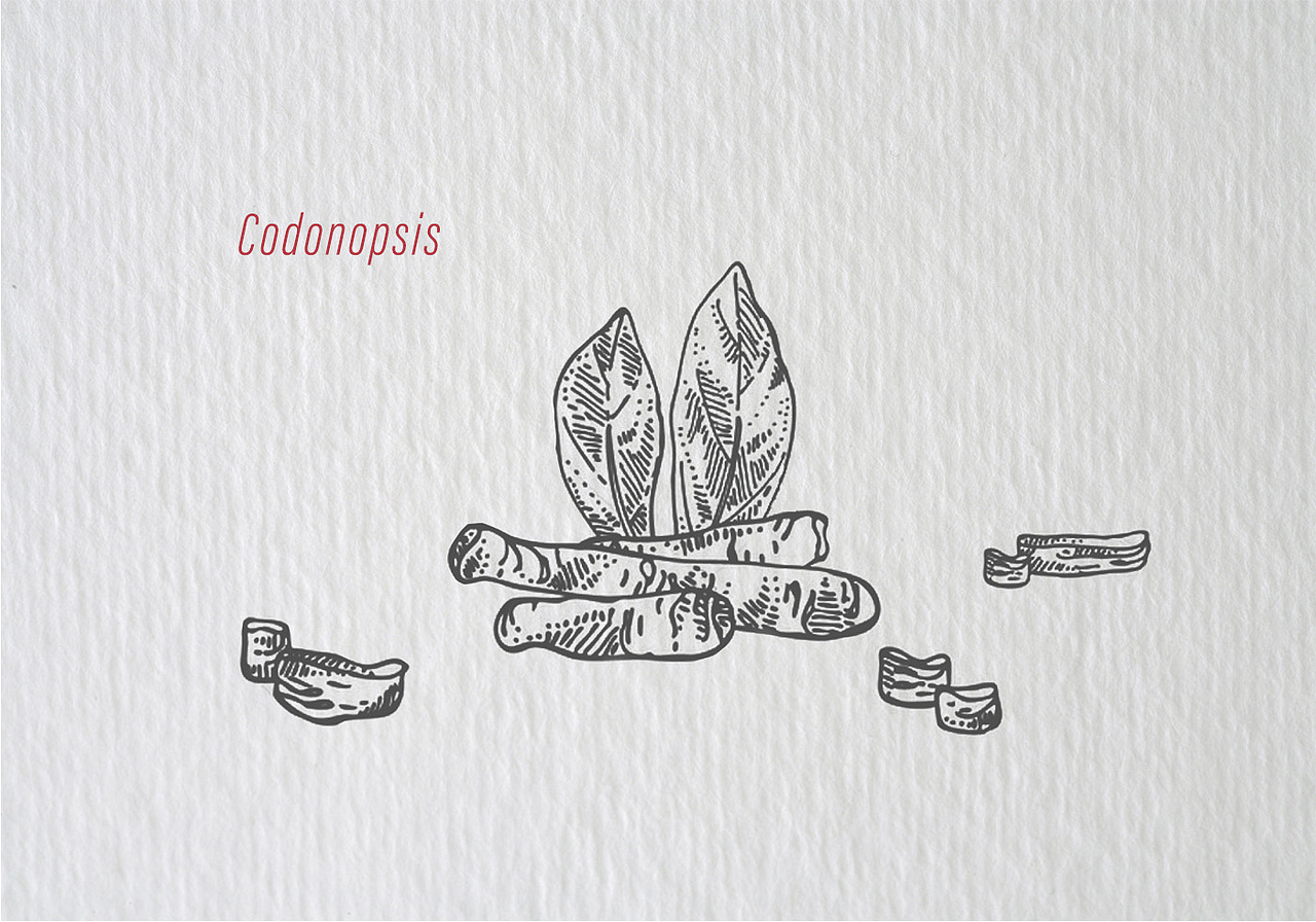 保健品包装设计 党参 中药材 简易包装 药材手绘