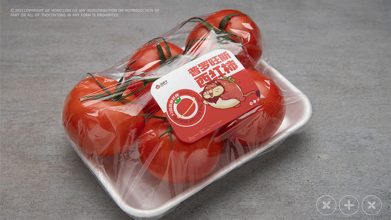 爆造羊驼 x 鸿狮子 | 只喜番做好柿