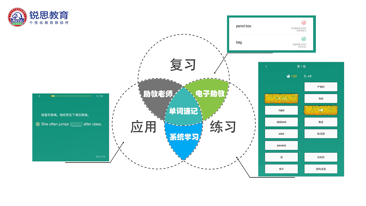 锐思教育-单词速记MG动画