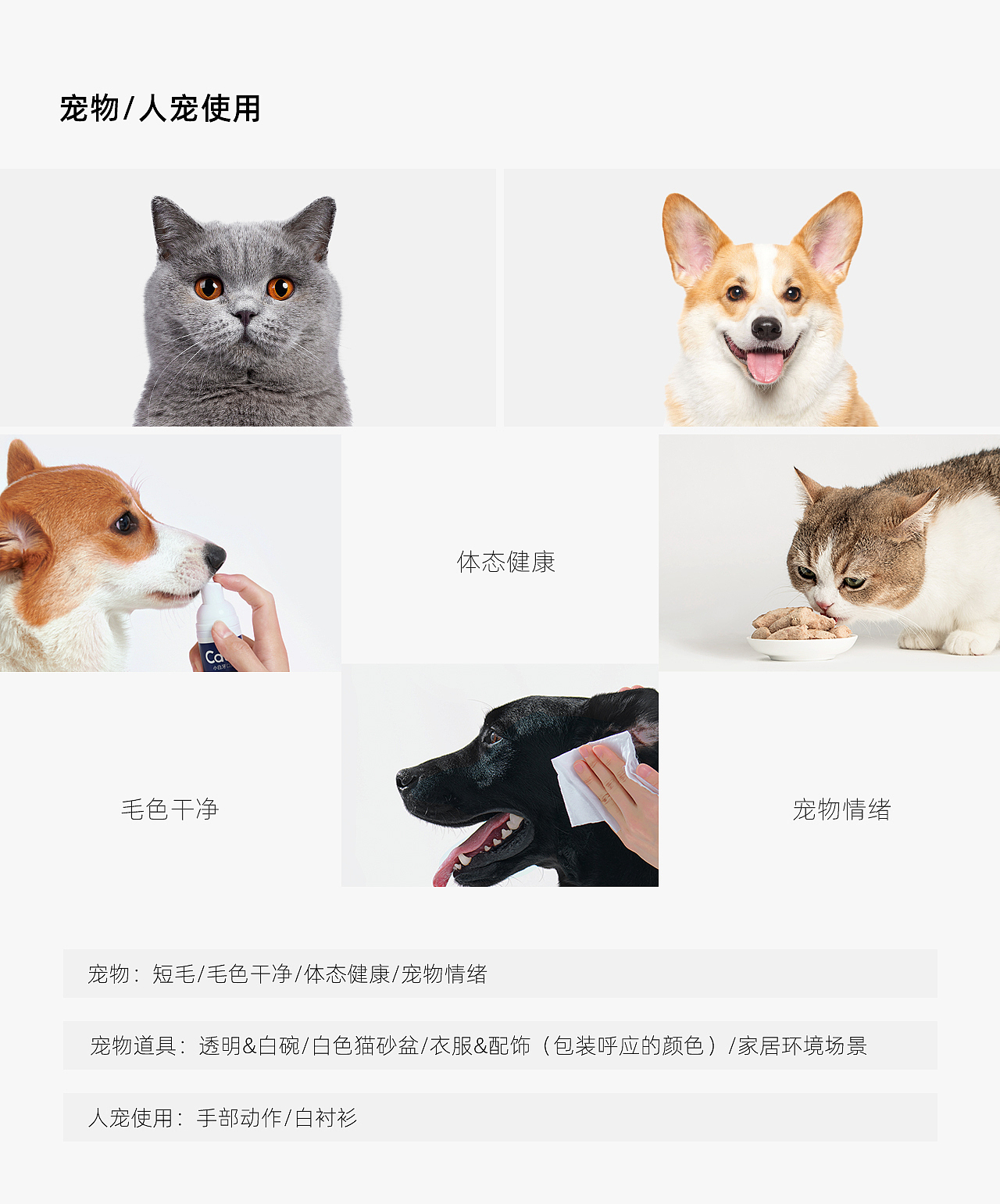 线上全案策划 | 小壳（图ZMzMzMDIwODY0） - 电商 - 站酷设计师设计师画原创素材 - 站酷ZCOOL