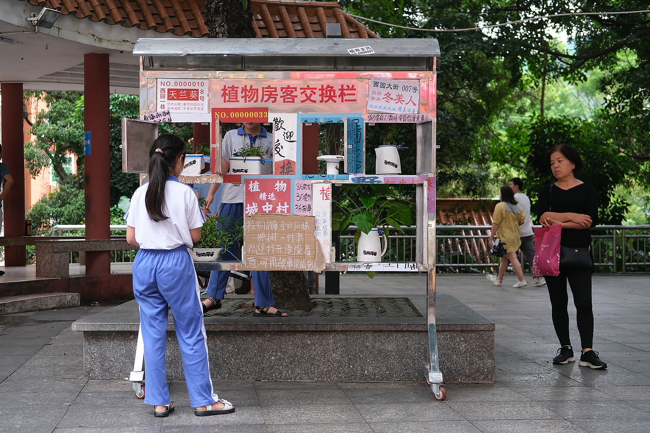 社区营造设计项目|植物房客(图ZMzE3NTYxODA0) - 书籍/画册 - 站酷设计师3883號房客原创素材 - 站酷ZCOOL
