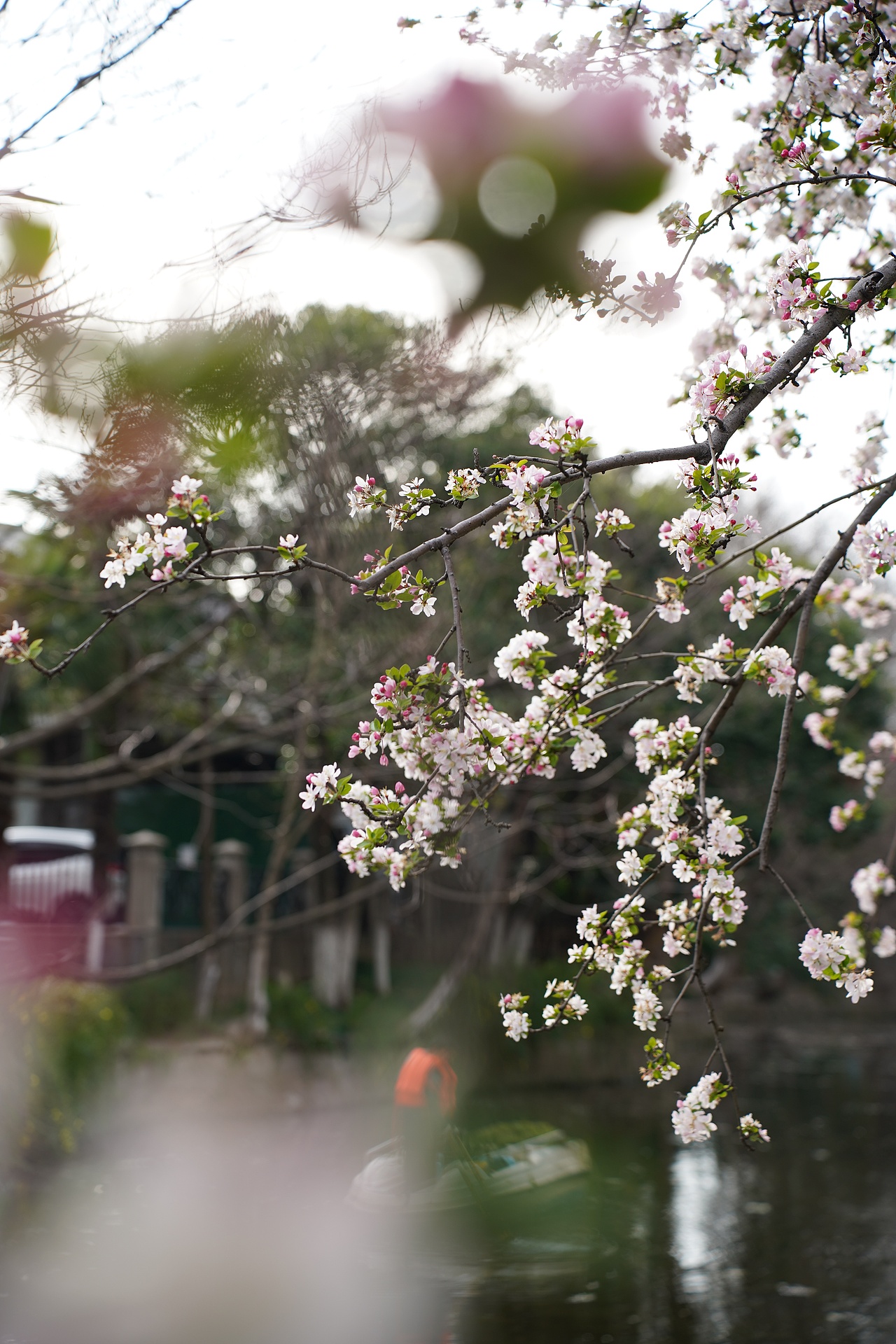 南京莫愁湖公园