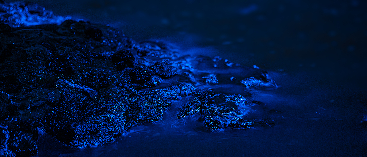 2024丨平潭蓝眼泪