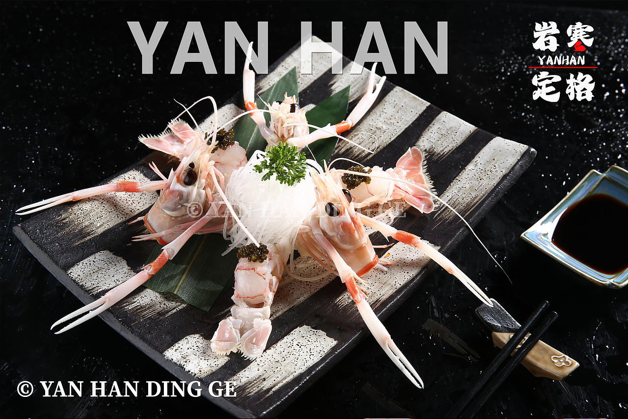 新西兰鳌虾拍摄