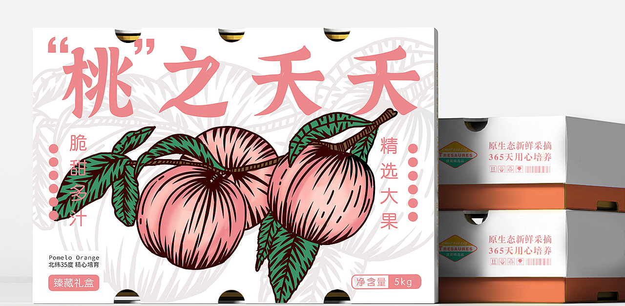 水果谐音梗包装设计（图ZMzE5MzM0MDk2） - 包装 - 站酷设计师零度设计师原创素材 - 站酷ZCOOL