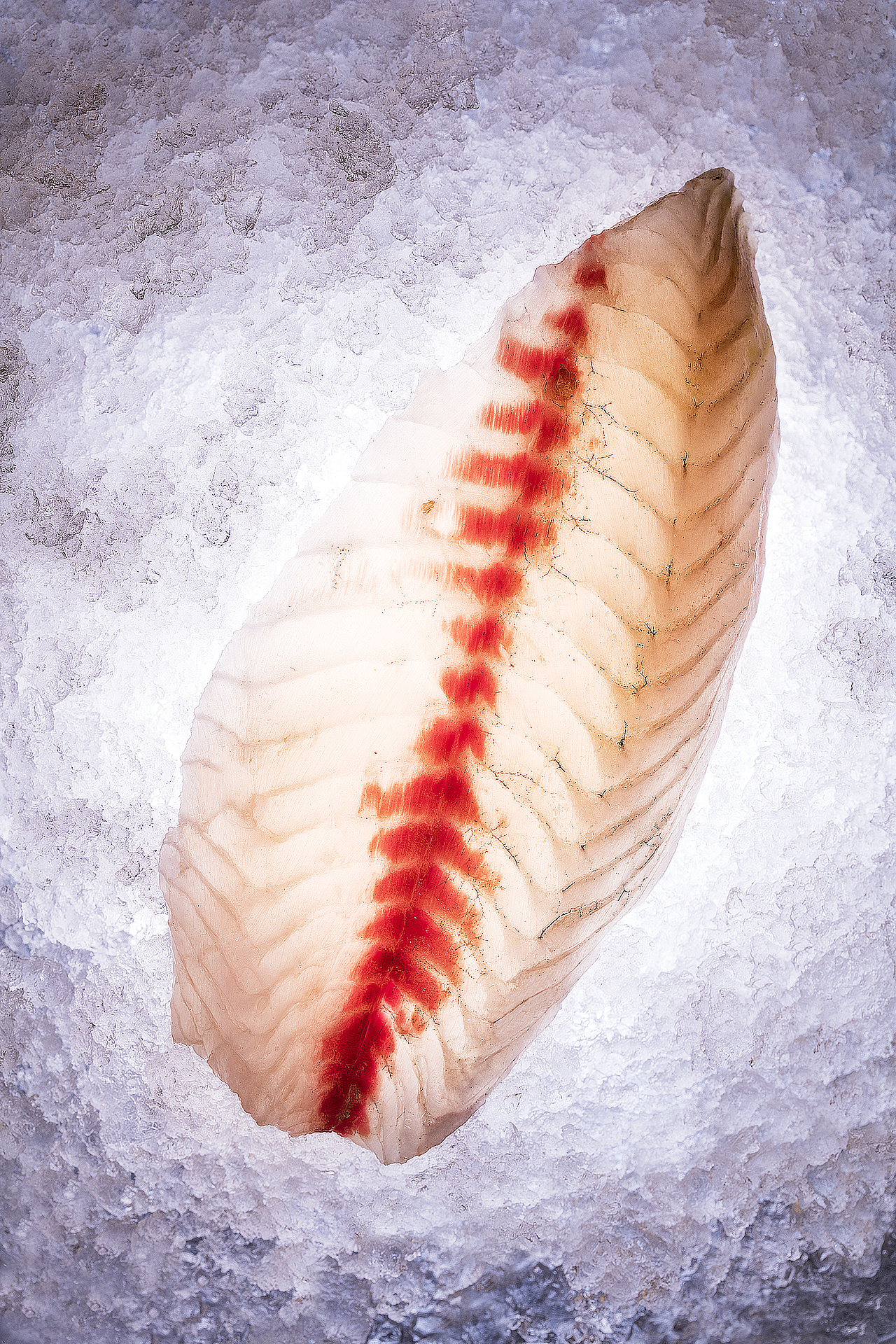 日料系列（图ZMzQwODI2MDAw） - 美食摄影 - 站酷设计师gesaimage原创素材 - 站酷ZCOOL