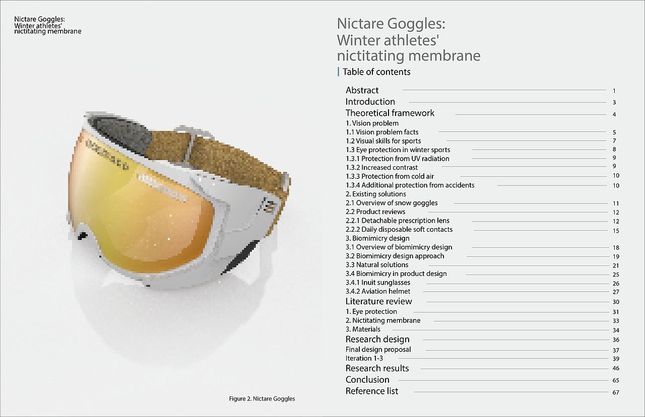 Nictare Googles