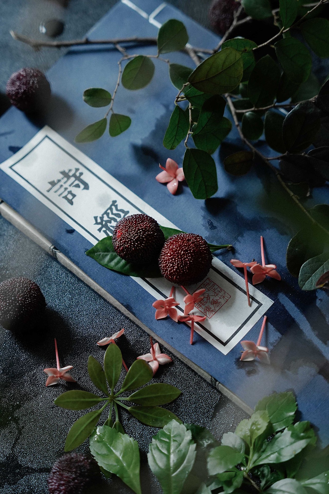 一种天香胜味,笑杨梅、不数枇杷