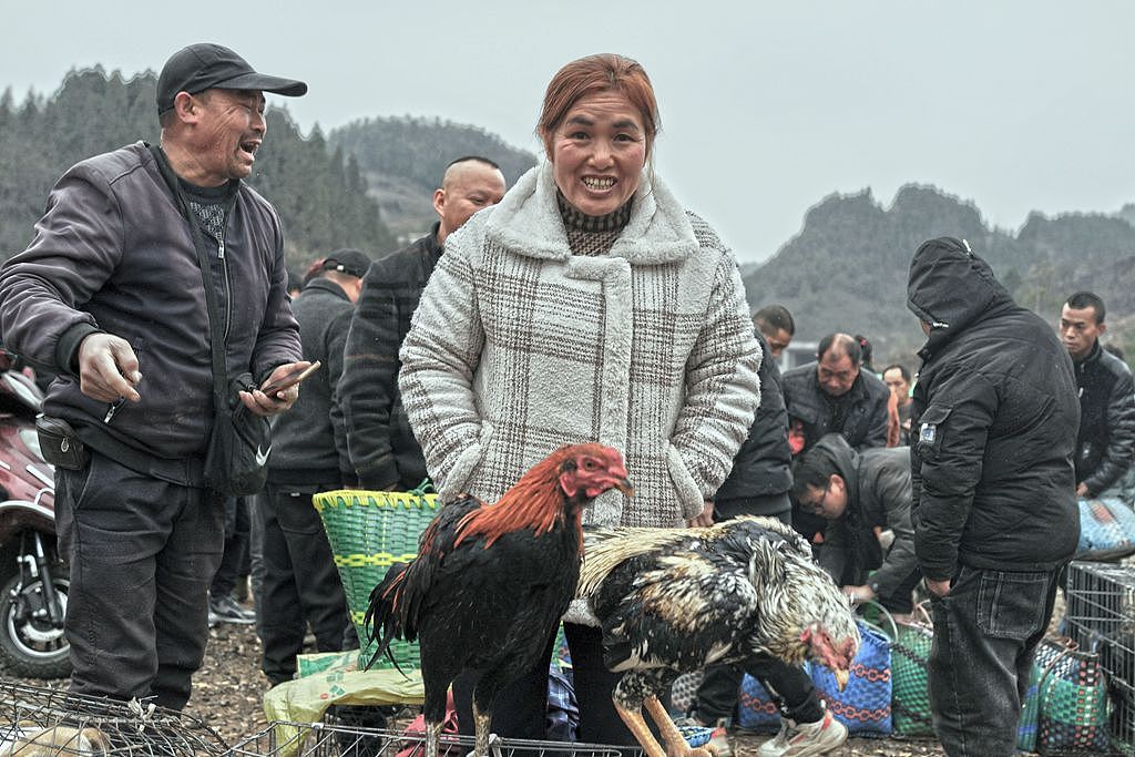 【贵州最大的露天集市——下司集】（图ZMzM2MTAxMDI4） - 人文/纪实摄影 - 站酷设计师子禾哥哥原创素材 - 站酷ZCOOL