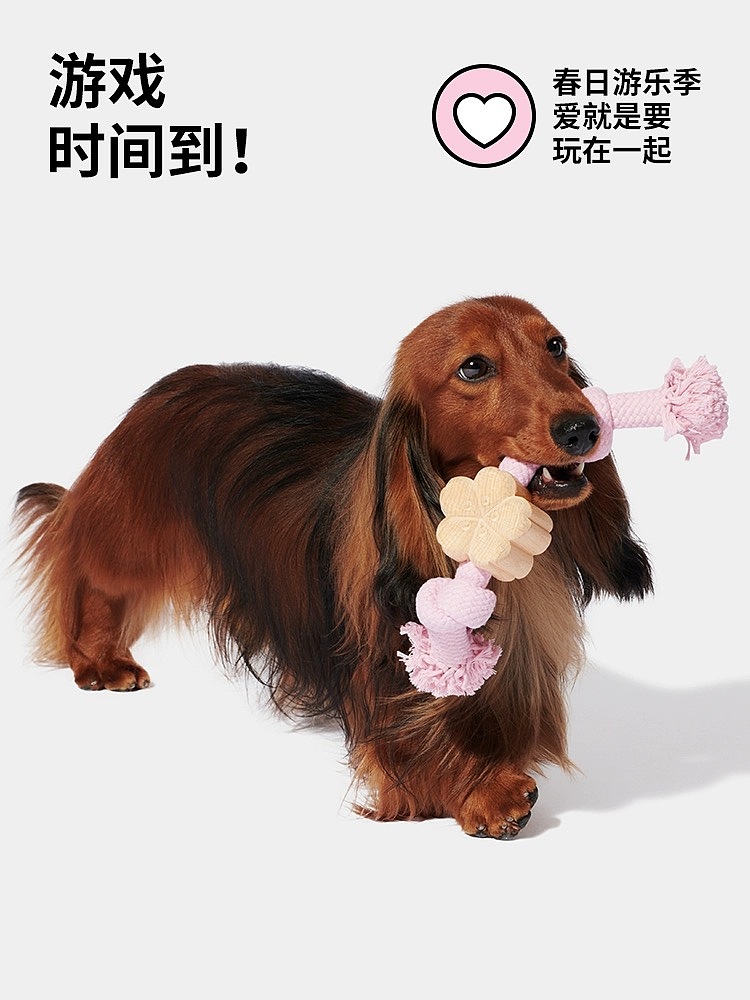 未卡产品拍摄（图ZMzYxMTY5Mzg0） - 宠物摄影 - 站酷设计师DPISSTUDIO原创素材 - 站酷ZCOOL