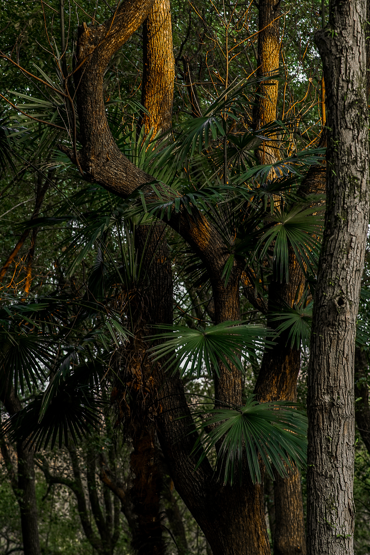 城市风貌系列6（图ZMzYzMTQ2MDQ0） - 风光摄影 - 站酷设计师莫潘原创素材 - 站酷ZCOOL