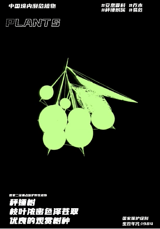 幽明芳荪——中国境内濒危植物数字化视觉形象设计