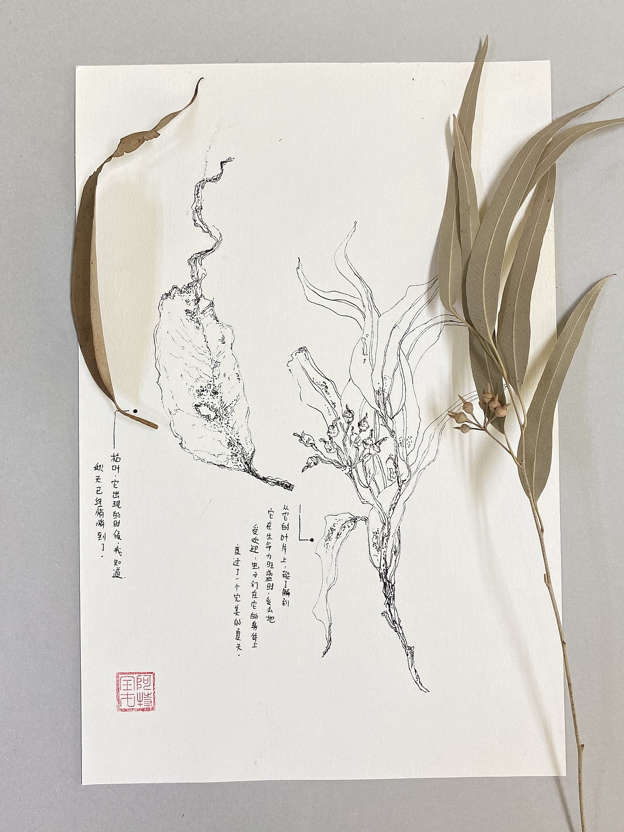 随手画