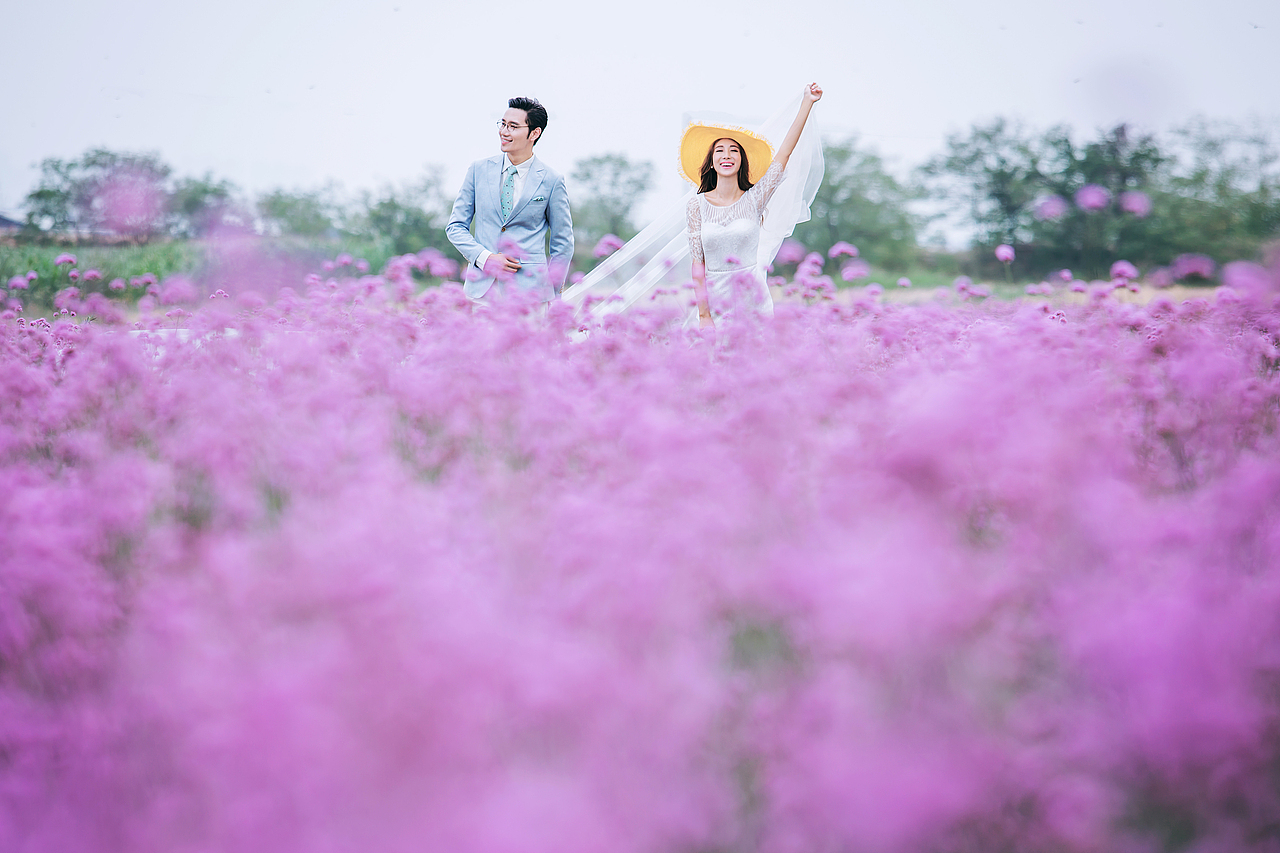 婚纱摄影-薰衣草