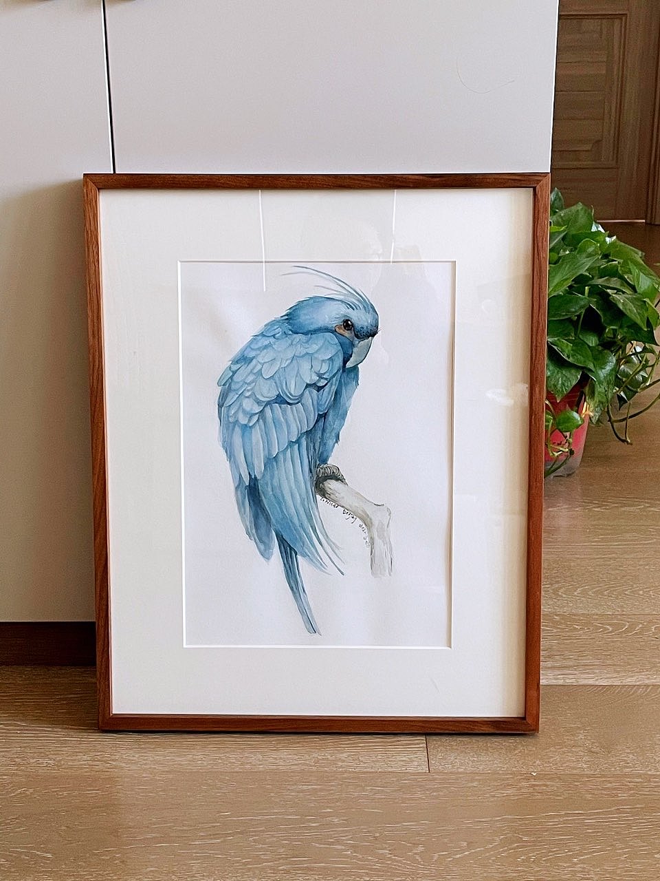 个人水彩作品集——《绽放花鸟系列》（图ZMzU0OTQ3MzM2） - 绘画 - 站酷设计师Z994203024原创素材 - 站酷ZCOOL