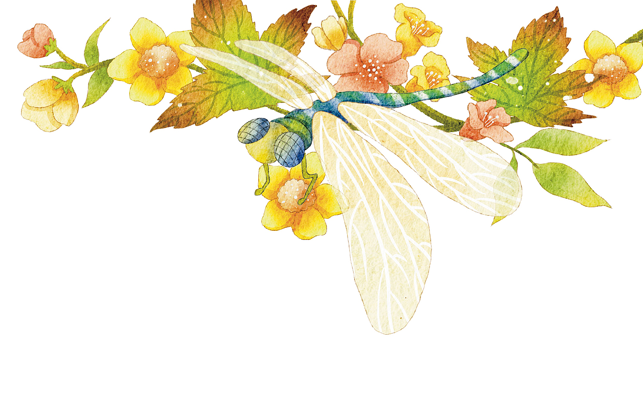 科普杂志（图ZMjk5NjUxMjU2） - 儿童插画 - 站酷设计师鹿秋原创素材 - 站酷ZCOOL