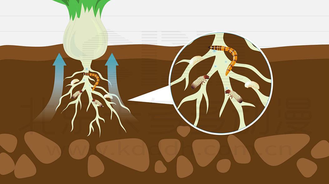 MG动画flash动画二维动画手绘动画定制动画创意动画