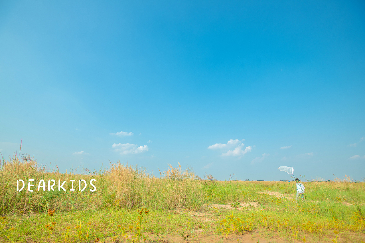 【迪克的孩子们---洋洋】