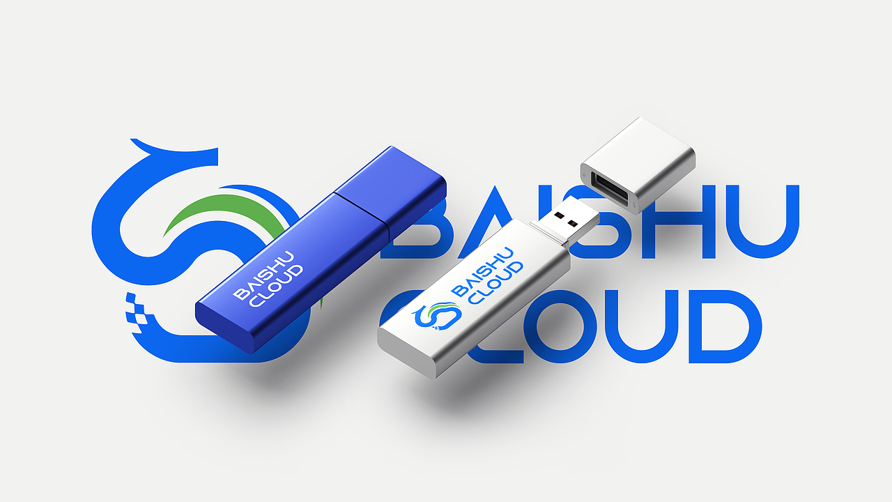 【LOGO设计】百数云数据（图ZMzIxMzU0NzQw） - Logo - 站酷设计师设计师陈琦原创素材 - 站酷ZCOOL