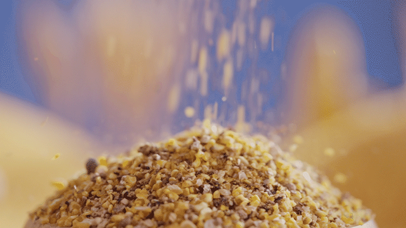 德州扒鸡-生态养殖篇