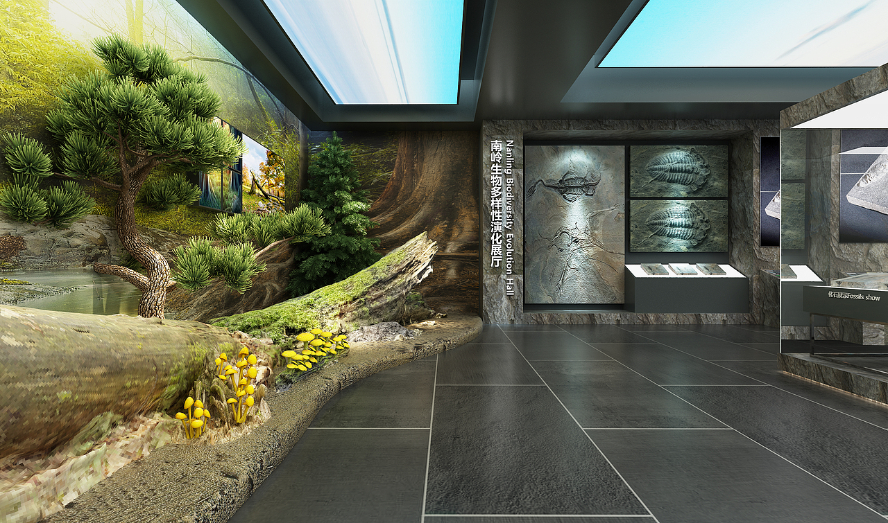 南邻自然博物馆-巍巍南岭-植物馆