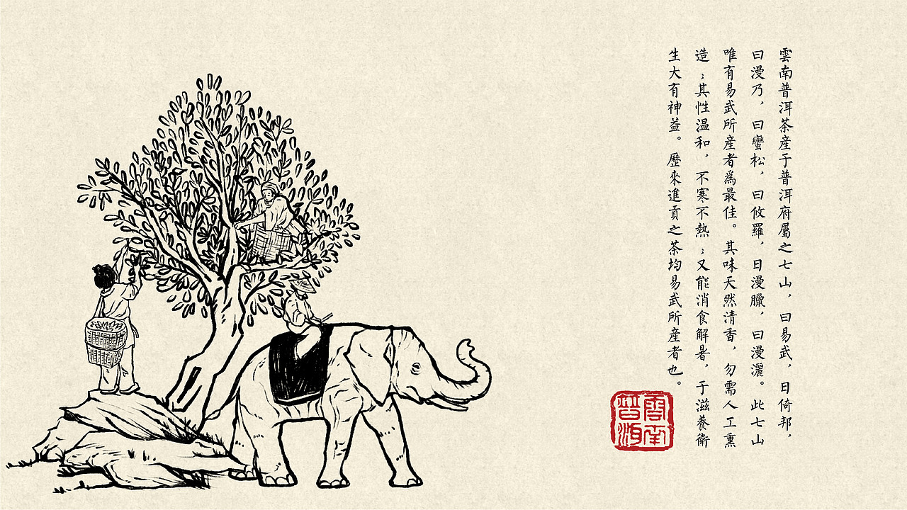 物华天宝普洱茶 | 易武同兴号 | 包装设计 | 茶产品VI（图ZMzMzOTgxOTQ0） - 包装 - 站酷设计师陈切Qie原创素材 - 站酷ZCOOL