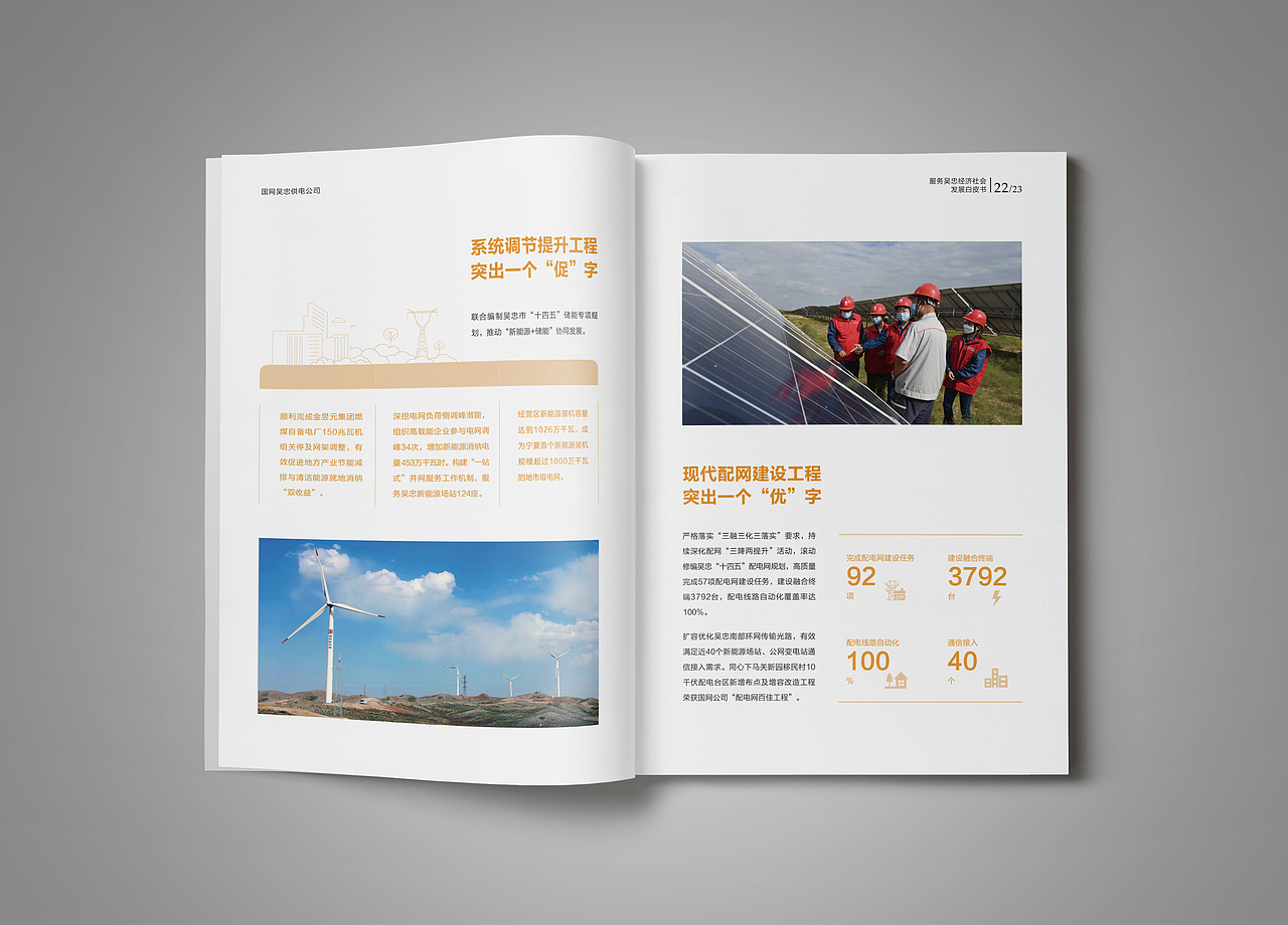 国网服务地方经济发展白皮书