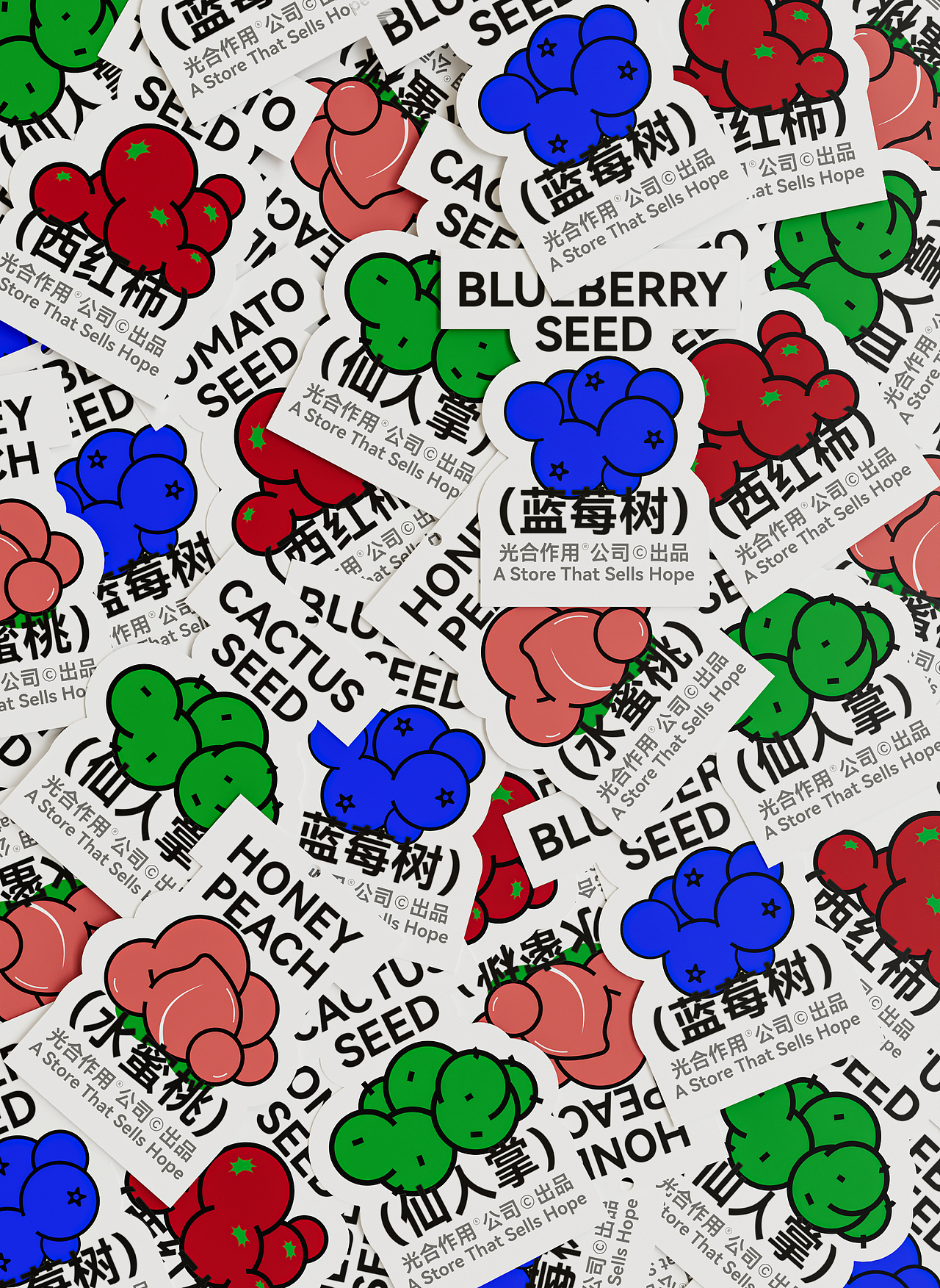 光合作用 | 桌面绿植包装 | 一家贩卖希望的商店