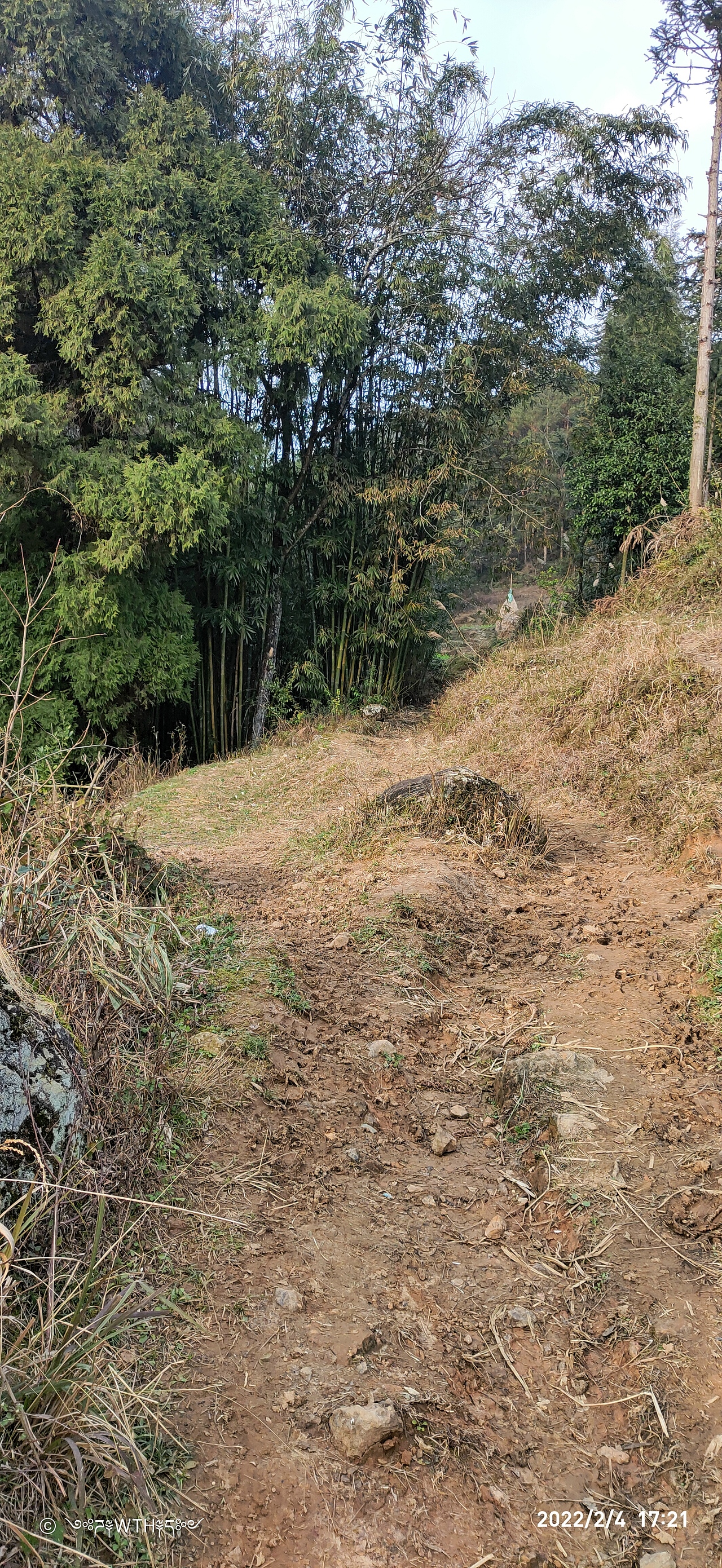 村庄 农村（图ZMzAyNDU2NDA0） - 风光摄影 - 站酷设计师天隼WtH原创素材 - 站酷ZCOOL