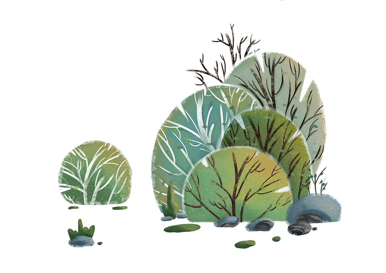 鱼雨桐插画临摹-植物