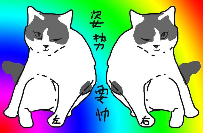 鬼畜彩虹——静下来咱也是姿势最帅的猫!斯哈!