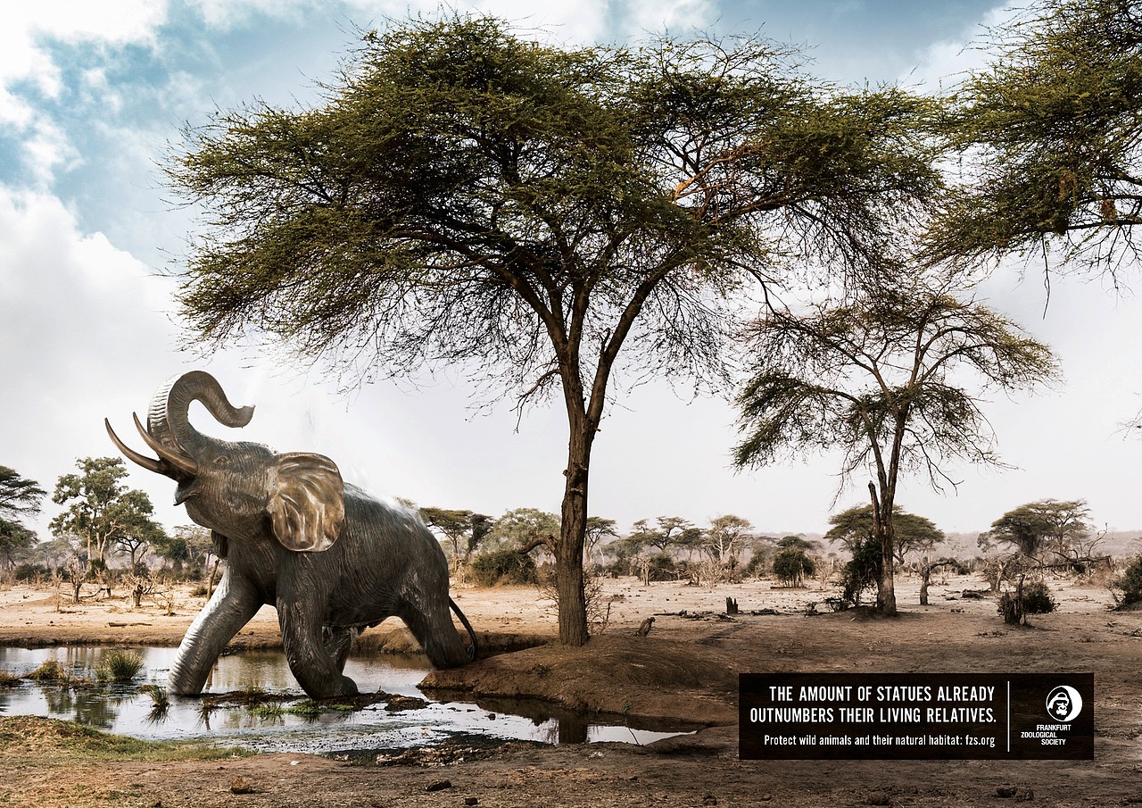 纽约广告节公益广告专辑——环境与资源篇（图ZMzY5Mzg3NjY4） - 其他平面 - 站酷设计师纽约国际广告节原创素材 - 站酷ZCOOL