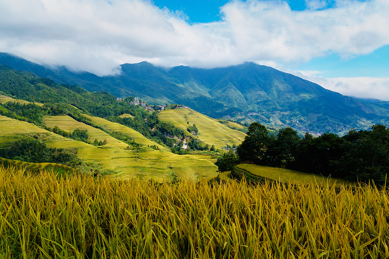 桂林龙脊金坑大寨瑶族梯田