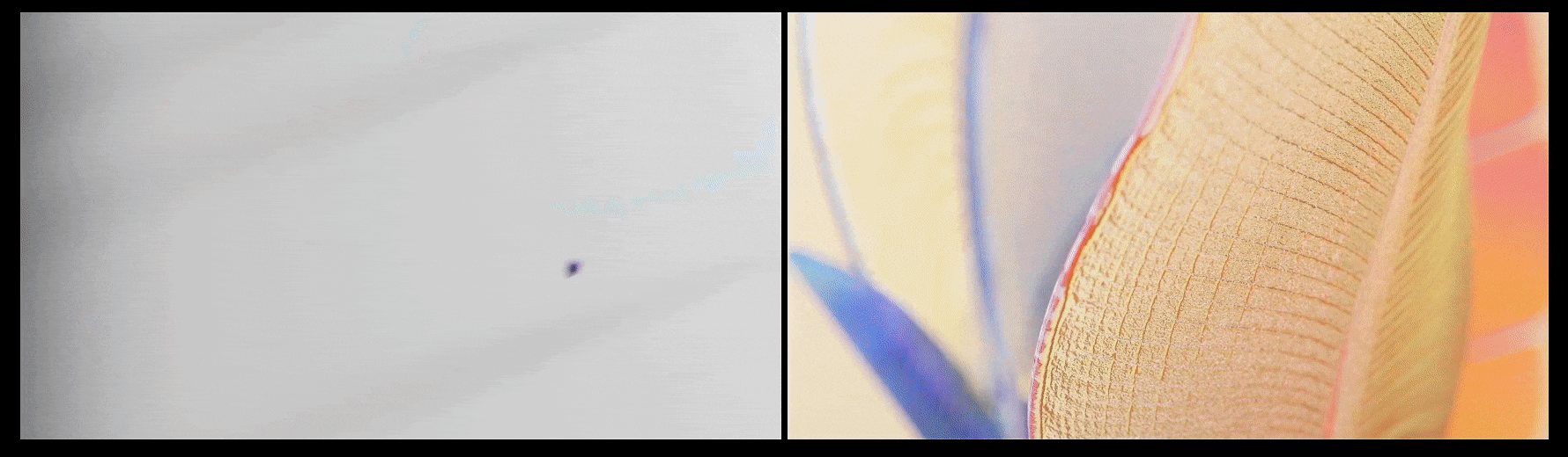 HyperOS 生命感美学