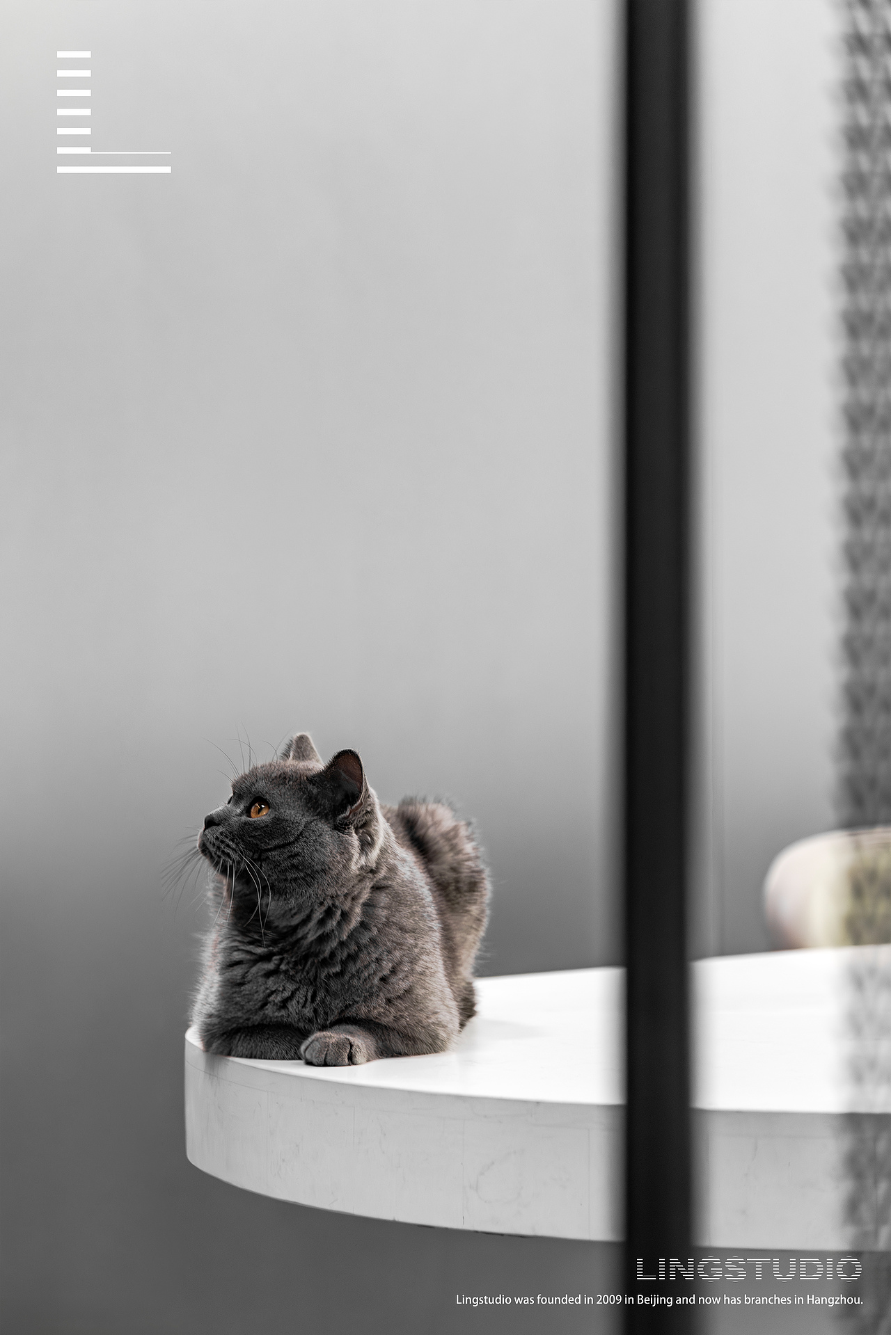 空间摄影｜新疆·艾得设计办公室项目（图ZMzUxNjI1ODA4） - 环境/建筑摄影 - 站酷设计师伶人空间摄影原创素材 - 站酷ZCOOL