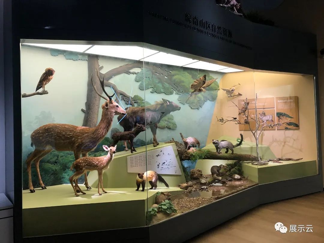 合肥市科技馆新馆