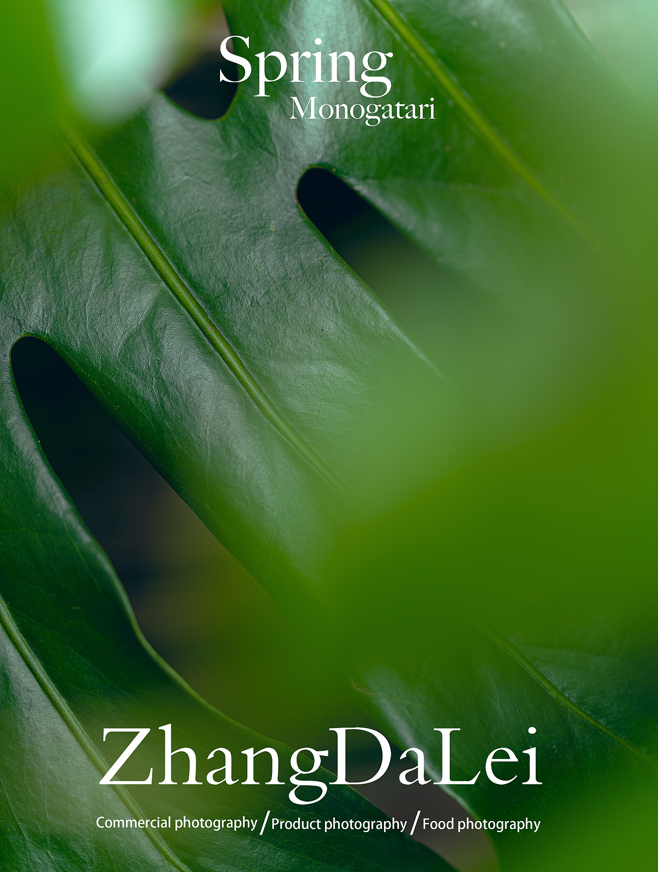 春天物语（图ZMzY2MzgwOTg0） - 其他摄影 - 站酷设计师子菲门视觉原创素材 - 站酷ZCOOL